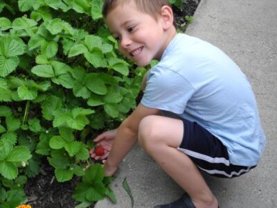 6 Fun Summer Activities for Free-Range Kids Image